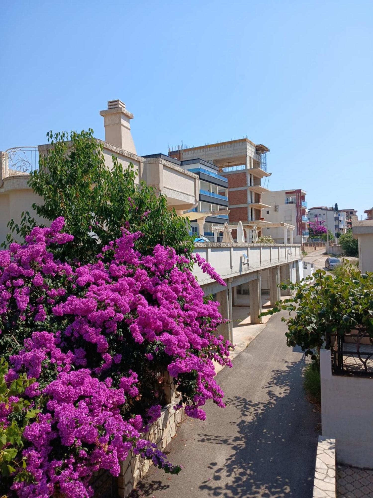 Kurtagic Apartment *